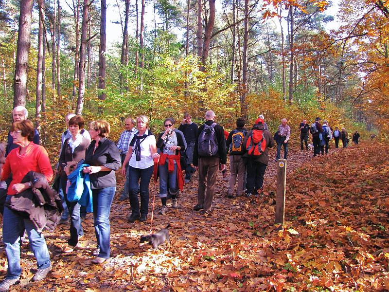 Wandeling van Monke en Judith op 21-10-2012 (46).JPG